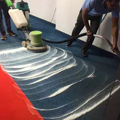 Carpet Shampooing Services