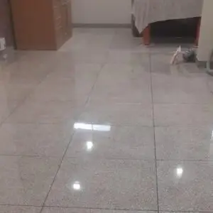 Marble Floor Polishing In Faridabad